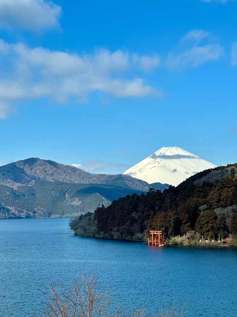 Tokyo: Mt. Fuji & Lake Kawaguchi Private Tour with Transfer - Oshino Hakkai and the village side of Fuji