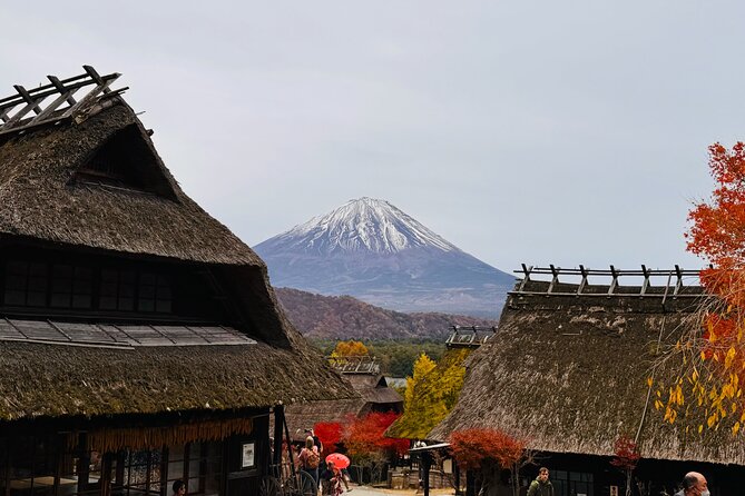 Tokyo: Mt.Fuji & Lake Kawaguchiko 1-Day Bus Tour w/Optional Lunch - Saiko Iyashi no Sato Nenba’s thatched roofs