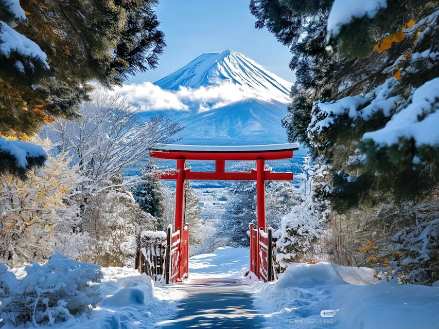 Tokyo: Mt Fuji Lake Kawaguchiko Tour & Arakuyama Sengen Park - Key points to know before you book