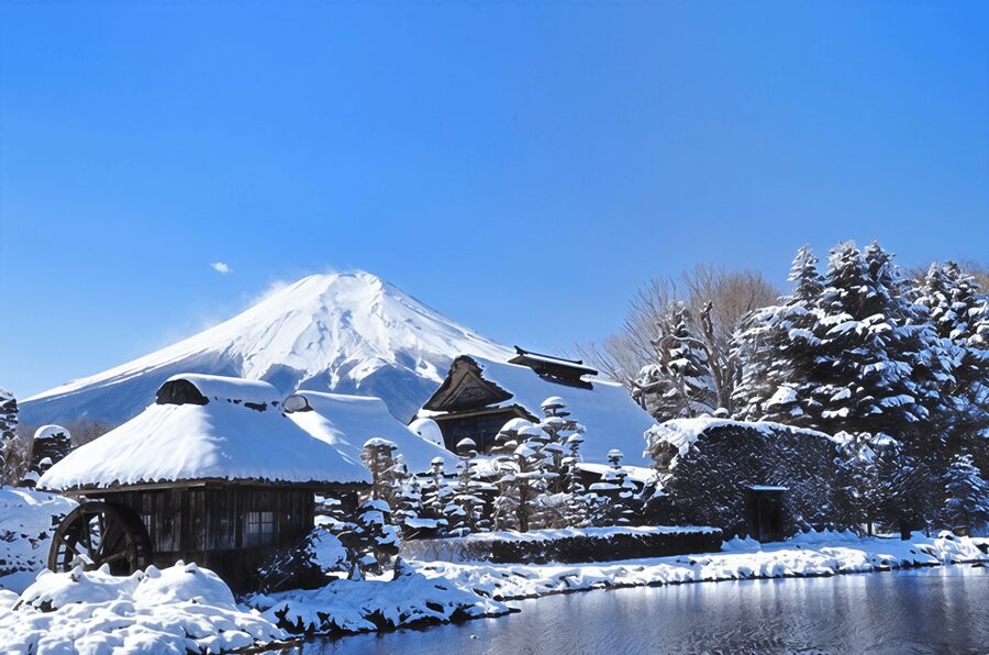 Tokyo: Mt Fuji Lake Kawaguchiko Tour & Arakuyama Sengen Park - Why this Mt. Fuji day trip works