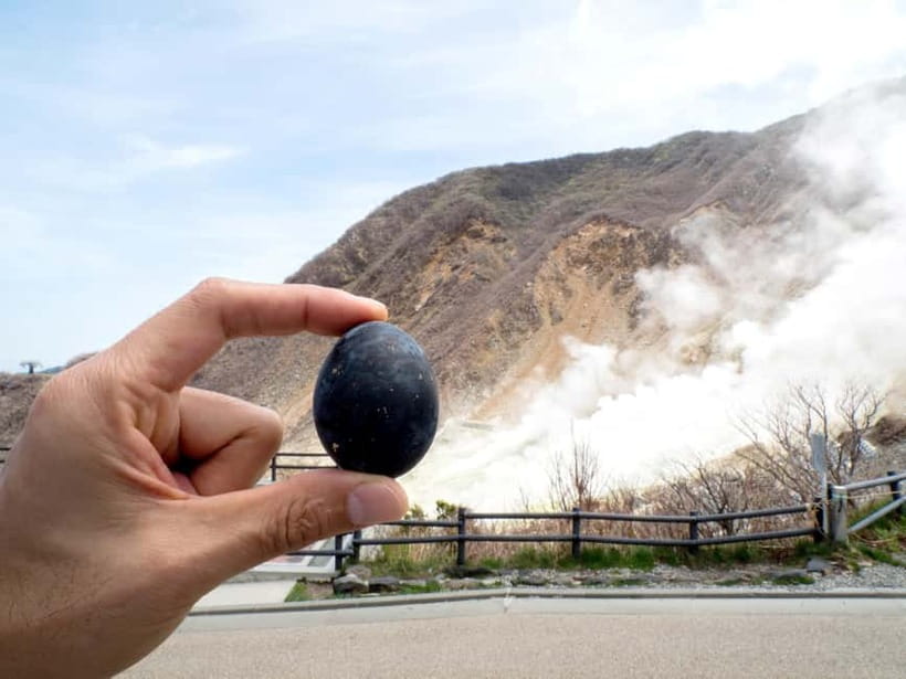 Tokyo: Mt. Fuji, Owakudani, Hakone Shrine, & Open-Air Museum - Key points at a glance
