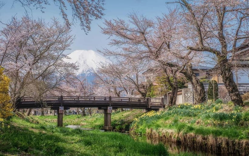 Tokyo: Mt. Fuji Summer Trip 5th Station & Lake Kawaguchi - Ōishi Park beside Lake Kawaguchi