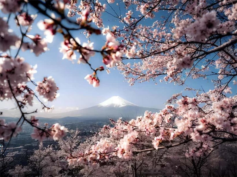 Tokyo: Mt. Fuji Summer Trip 5th Station & Lake Kawaguchi - Arakurayama Sengen Park, hot springs, and seasonal changes