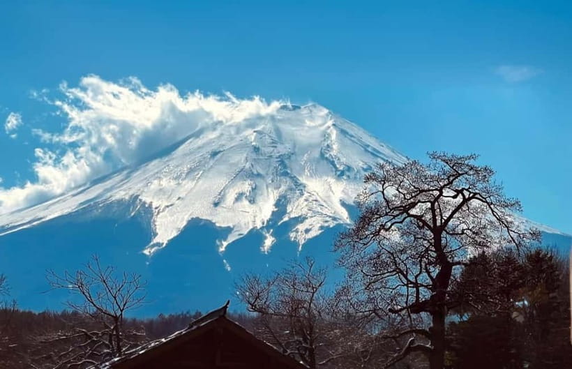 Tokyo: Mt. Fuji Summer Trip 5th Station & Lake Kawaguchi - Leaving Tokyo from Marunouchi North Exit