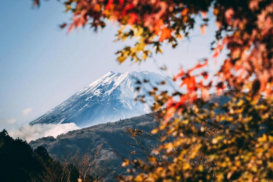 Tokyo: Private Day Trip to Mount Fuji and Hakone - Key points to know before booking