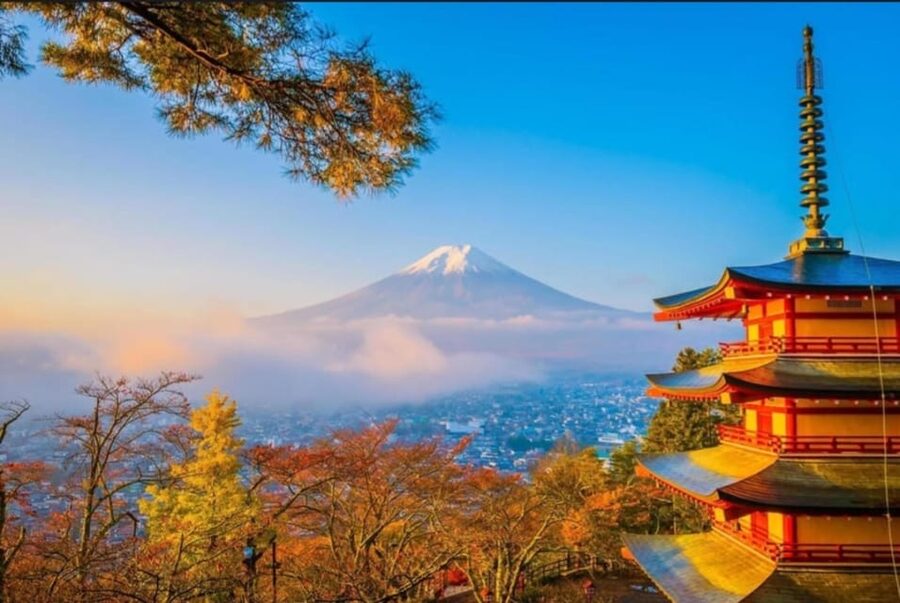 Tokyo: Private Day Trip to Mount Fuji and Hakone - Is $100 per person good value?