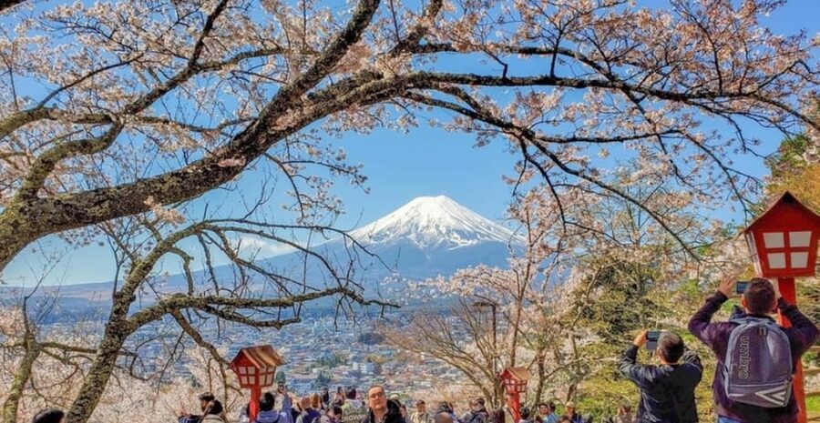 Tokyo: Private Day Trip to Mount Fuji and Hakone - Shrines, torii gates, and the feel of rural Japan