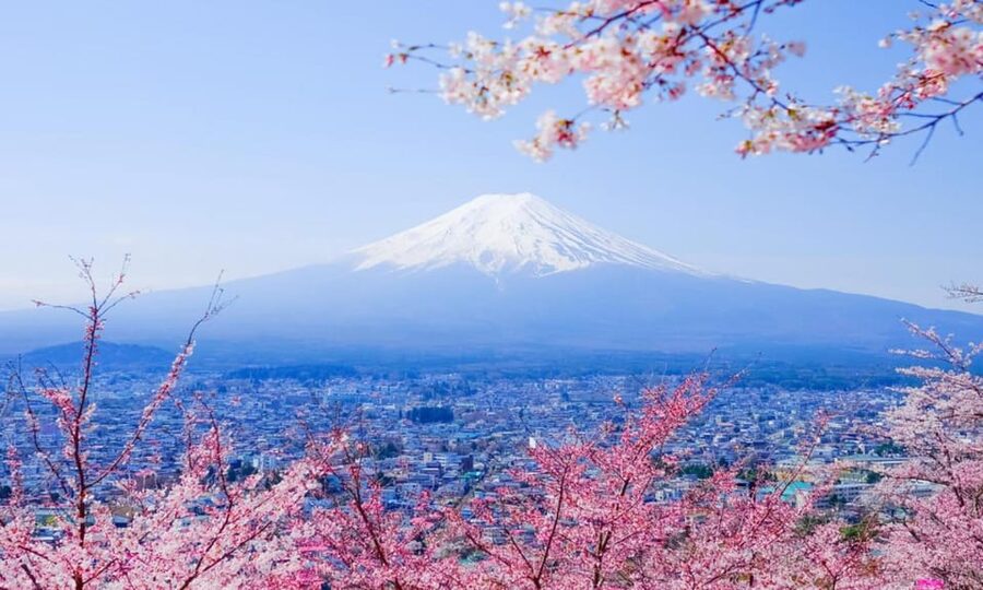 Tokyo: Private Day Trip to Mount Fuji and Hakone - Oshino Hakkai and its clear spring ponds