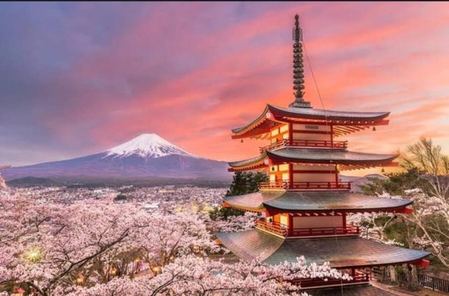 Tokyo: Private Day Trip to Mount Fuji and Hakone - Lake Kawaguchi and Oishi Park