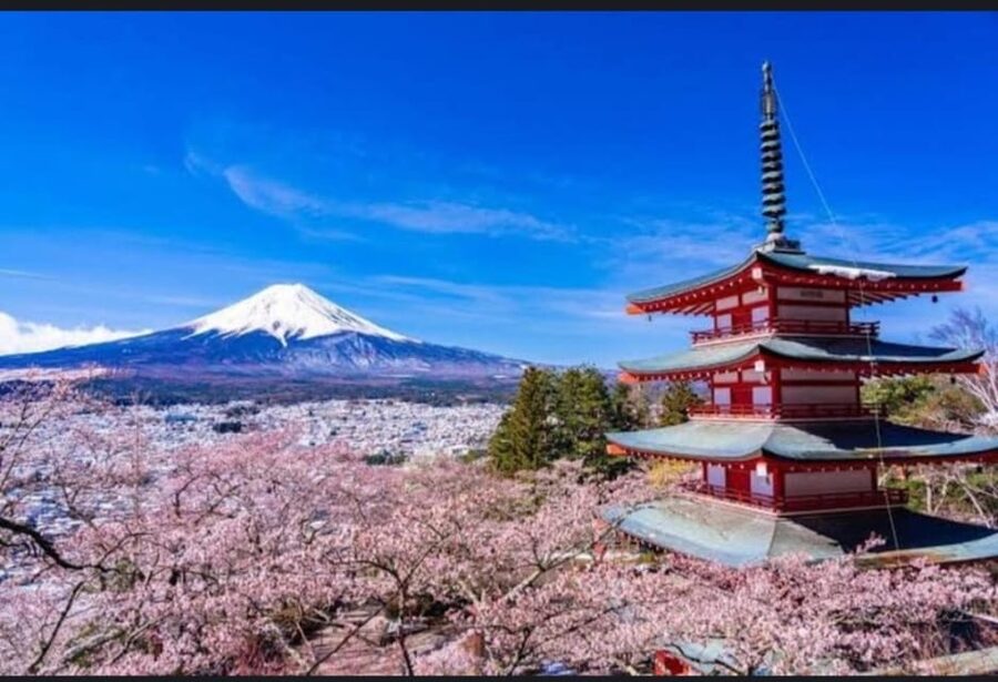 Tokyo: Private Day Trip to Mount Fuji and Hakone - The Hakone portion: ropeways, Lake Ashi, and Owakudani