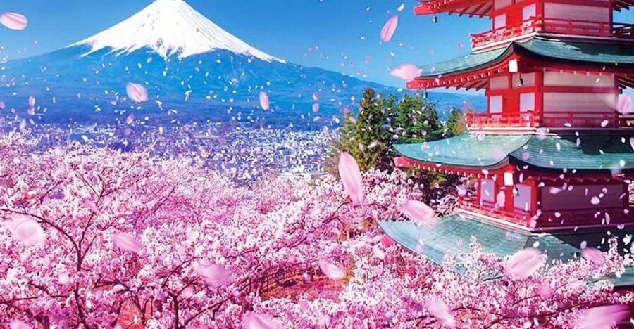 Tokyo: Private Mount Fuji and Hakone Day Trip with Guide - What $419 means for your group