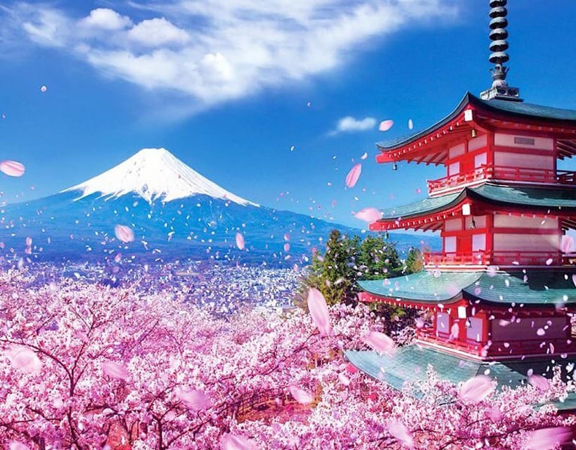 Tokyo: Private Mount Fuji and Hakone Day Trip with Guide - Guide names, communication, and the mixed quality picture