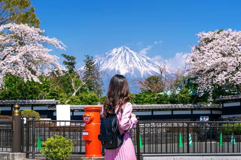 Tokyo: Private Mount Fuji Day Trip with Private Guide - Oshino Hakkai’s springs and traditional setting