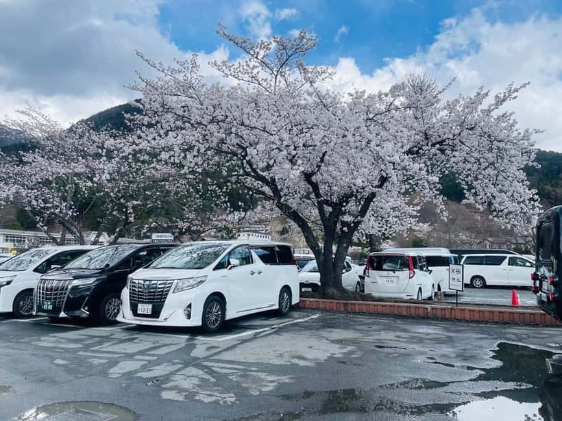 Tokyo: Private Mount Fuji Day Trip with Private Guide - Optional onsen, sake, and extra activities