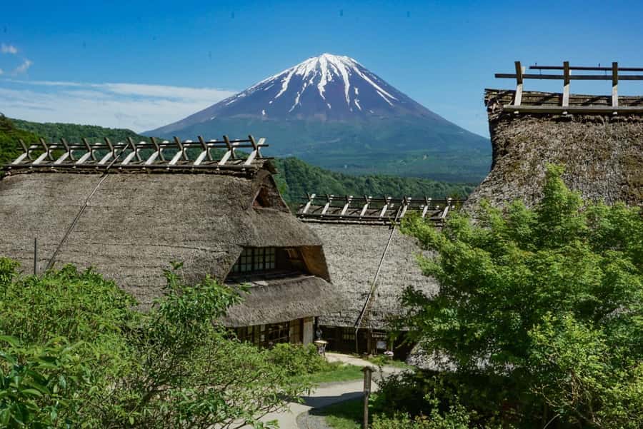 Tokyo: Private Mount Fuji Tour with Pickup and Drop-Off - The guides and the value of personal service