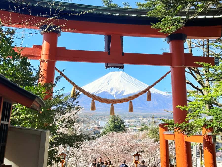 Tokyo: Private Mount Fuji Tour with Pickup and Drop-Off - Leaving Tokyo and setting the day’s plan