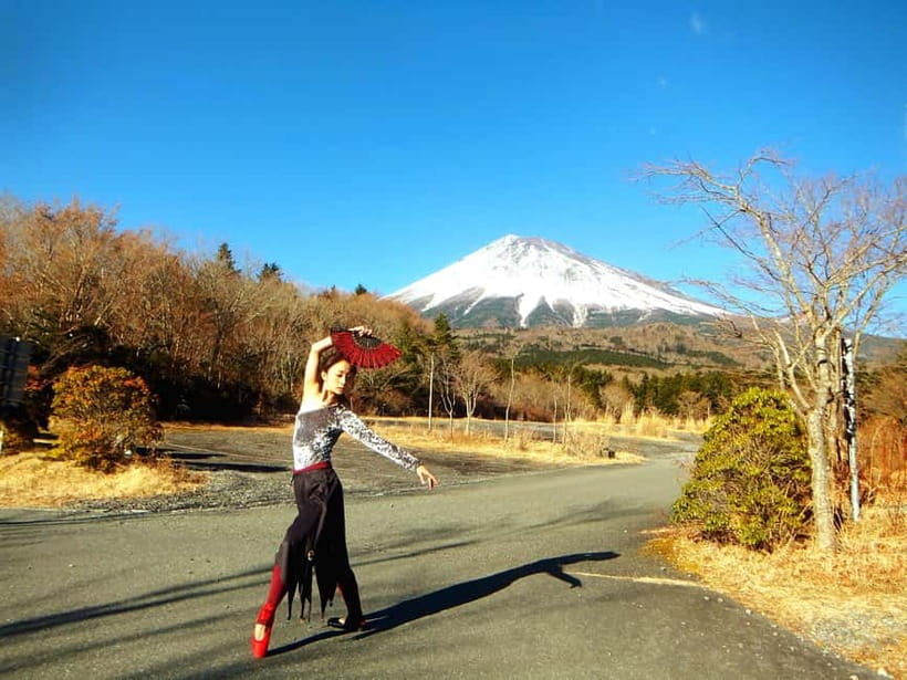 Tokyo: Private Mt. Fuji Luxury Day Tour – Fully Customizable - A private route to Mount Fuji, not a fixed checklist