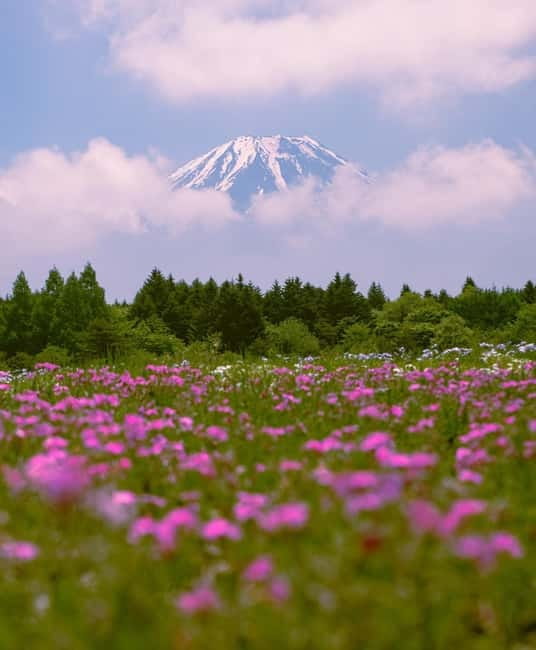 Tokyo: Private Mt. Fuji Luxury Day Tour – Fully Customizable - Chureito Pagoda gives you the classic photograph