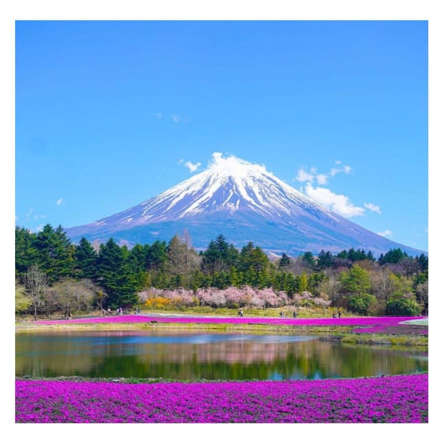 Tokyo: Private Mt. Fuji Luxury Day Tour – Fully Customizable - Oshino Hakkai adds village character