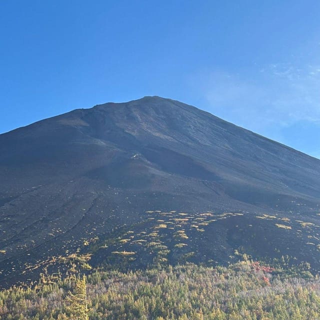 Tokyo: Private Mt. Fuji Luxury Day Tour – Fully Customizable - Optional stops for a more varied day