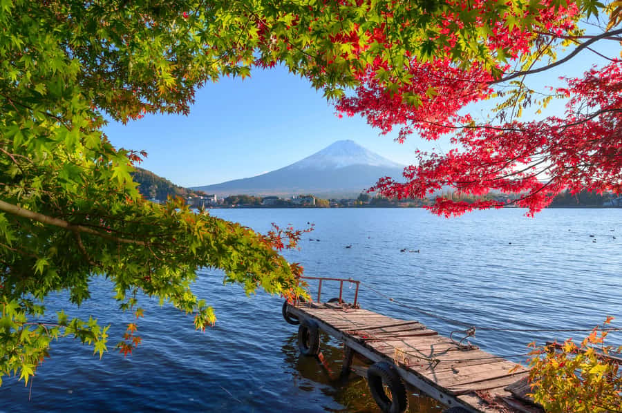 Tokyo to Mount Fuji A Full Day Private Tour From Tokyo - Key points to know before booking