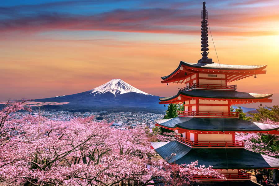 Tokyo to Mount Fuji A Full Day Private Tour From Tokyo - Why a private Mount Fuji day from Tokyo makes sense