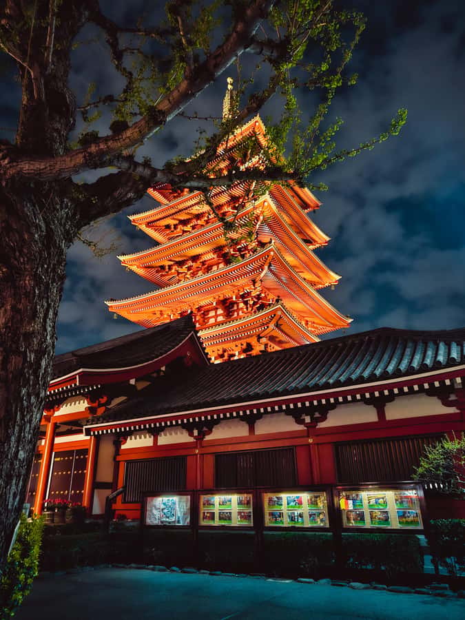 Tokyo to Mount Fuji A Full Day Private Tour From Tokyo - Oshino Hakkai and its clear spring ponds