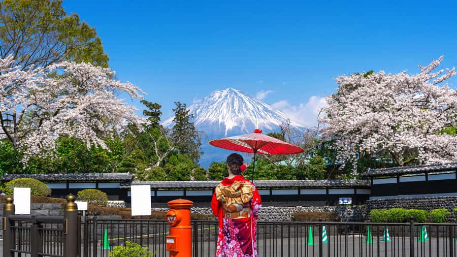Tokyo to Mount Fuji A Full Day Private Tour From Tokyo - Oishi Park for the broadest lake view