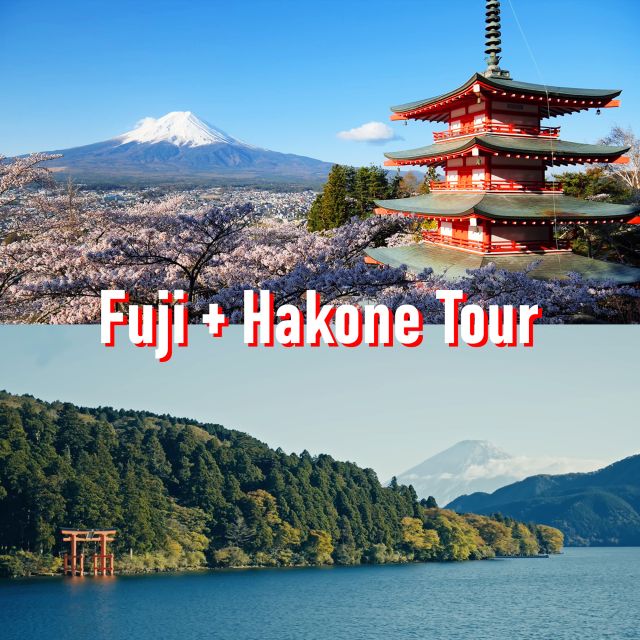 Tokyo to Mount Fuji and Hakone: Private Full-Day Tour - A private route from Tokyo to two very different sights
