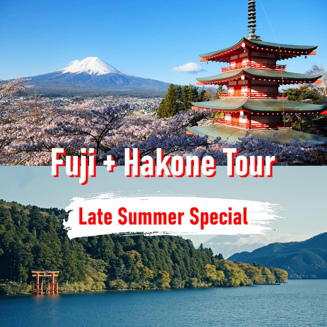Tokyo to Mount Fuji and Hakone: Private Full-Day Tour - Lunch in Hakone, with food costs separate