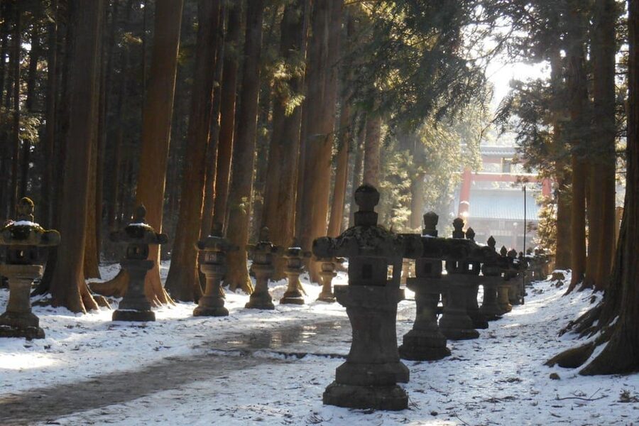 Tokyo To Mount FUJI Day Trip With English guide - Oishi Park and the classic Fuji photograph