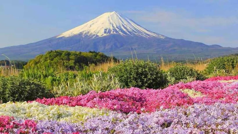 Tokyo To Mount FUJI Day Trip With English guide - Gotemba Premium Outlets after the mountain
