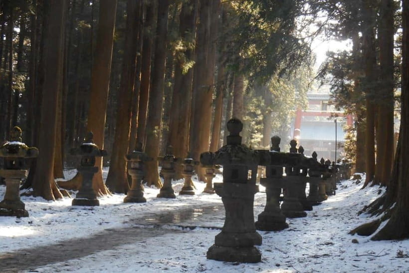 Tokyo To Mount FUJI Day Trip With English guide - Hakone by boat before returning to Tokyo
