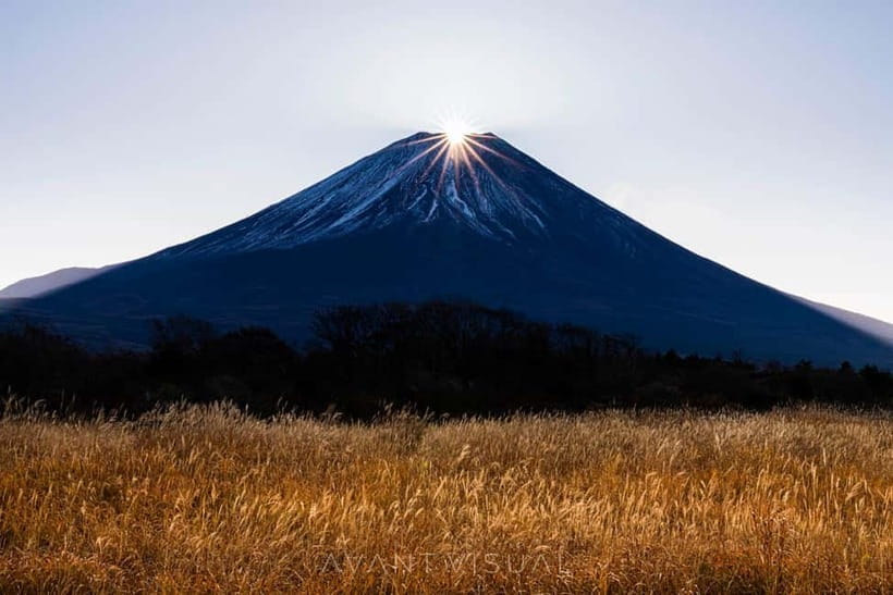 Tokyo To Mount FUJI Day Trip With English guide - Kitaguchi Hongu Fuji Sengen Shrine