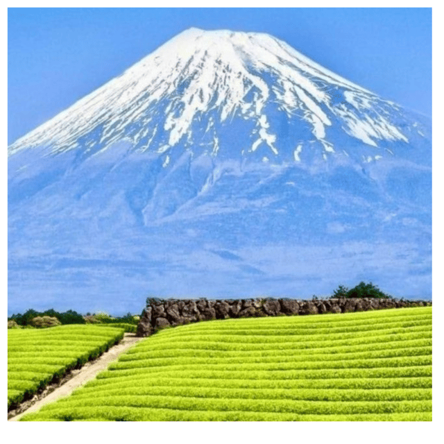 “Tokyo to Mt. Fuji & Hakone: Private Customizable Day Trip” - A private route from Tokyo, not a one-size-fits-all bus day