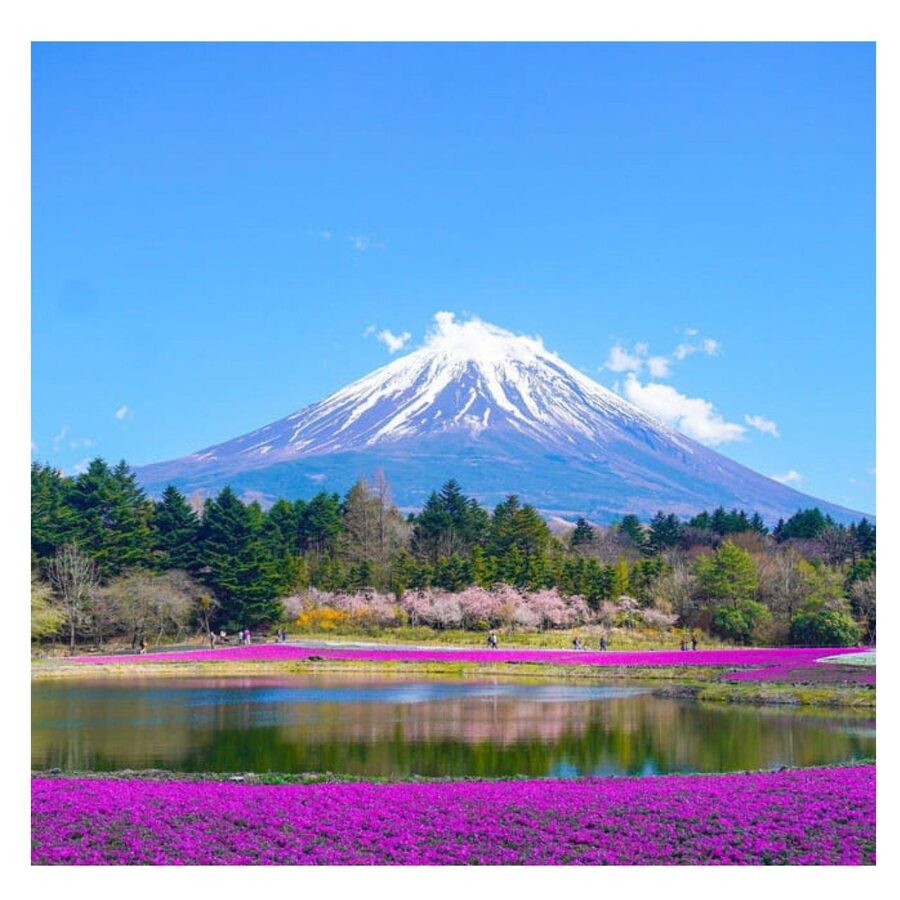 “Tokyo to Mt. Fuji & Hakone: Private Customizable Day Trip” - What the guides add to the experience