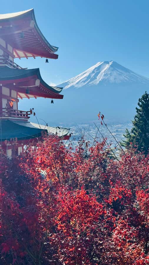Tokyo/Yokohama: Mt. Fuji and Hakone Private Day Tour - The pirate cruise and Hakone Ropeway