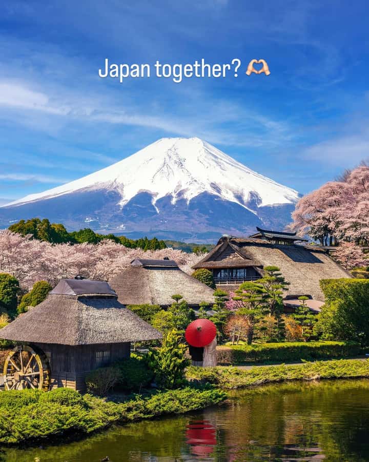 Tokyo/Yokohama: Mt. Fuji and Hakone Private Day Tour - Choose one route before you set off