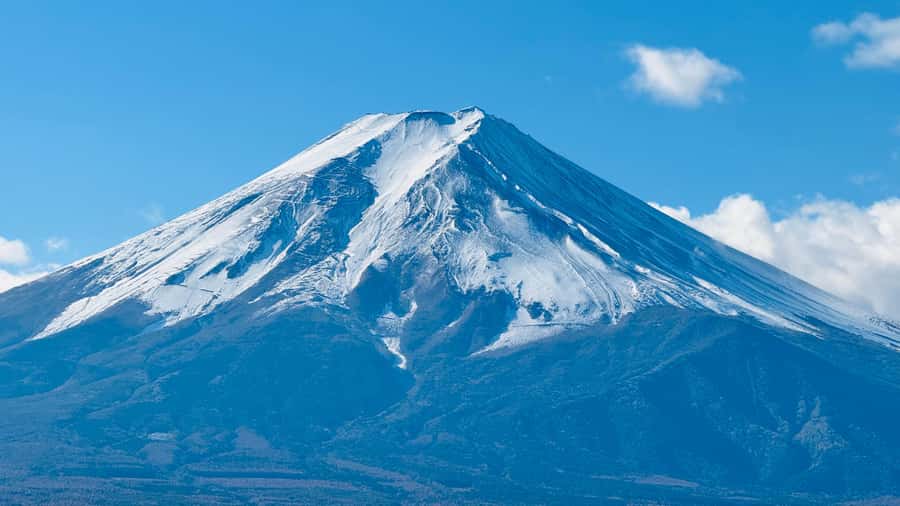Tokyo/Yokohama: Mt. Fuji and Hakone Private Day Tour - Saiko Iyashi no Sato Nenba and the herb garden