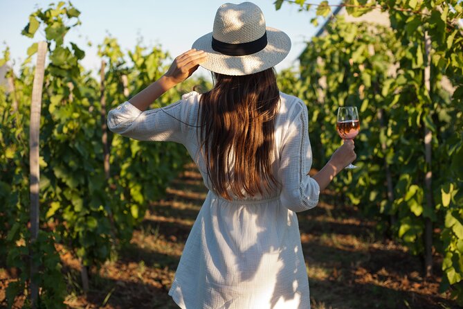 Tour Etna & Wine Tasting - Key points to know before booking