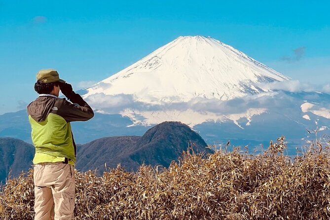 Traverse Outer Rim of Hakone Caldera and Enjoy Onsen Hiking Tour - Why this Hakone hike is different from a standard sightseeing day