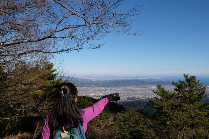 Traverse Outer Rim of Hakone Caldera and Enjoy Onsen Hiking Tour - Local lunch after four to five hours on foot