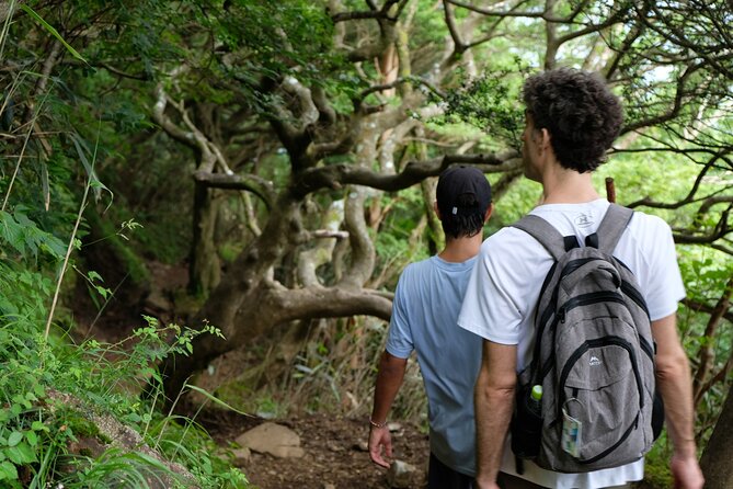 Traverse Outer Rim of Hakone Caldera and Enjoy Onsen Hiking Tour - Is the $158.13 price fair?