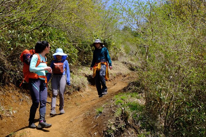 Traverse Outer Rim of Hakone Caldera and Enjoy Onsen Hiking Tour - Weather, seasons, and the Fuji question