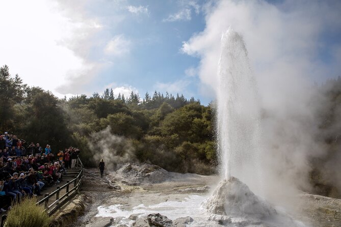 TRIPLE DEAL Wai-O-Tapu, Redwood Forest & Blue Springs Ex Auckland - Tirau’s corrugated iron Dog and Sheep add local character