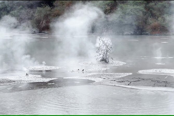 TRIPLE DEAL Wai-O-Tapu, Redwood Forest & Blue Springs Ex Auckland - Guides, commentary, and the human side of the tour