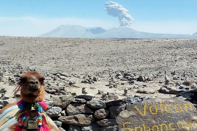 Turist Bus Colca Canyon (Chivay) To Puno - Pampa Cañahuas, hot drinks, and a useful pause