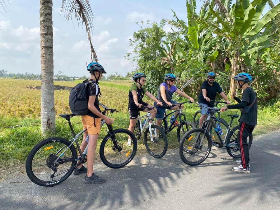 Ubud: Downhill Bike Tour with Rice Fields, Volcano and Meal - Key points to know before booking