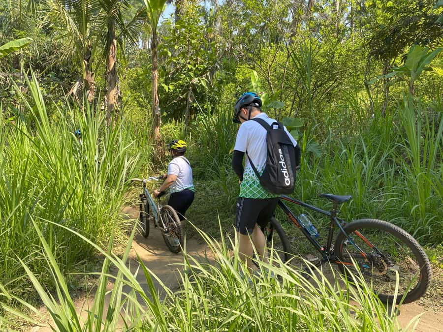 Ubud: Downhill Bike Tour with Rice Fields, Volcano and Meal - Lunch with Balinese food at the finish