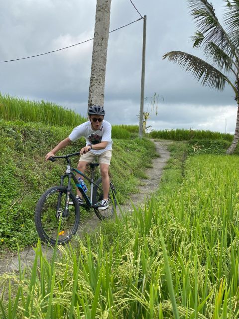 Ubud: Downhill Bike Tour with Rice Fields, Volcano and Meal - Private groups, guides, and the pace of the day